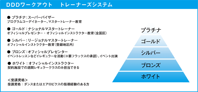 DDDワークアウトシリーズ　トレーナーズシステム